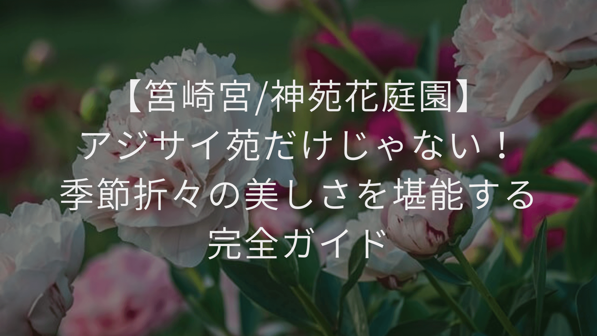 【筥崎宮/神苑花庭園】アジサイ苑だけじゃない！季節折々の美しさを堪能する完全ガイド