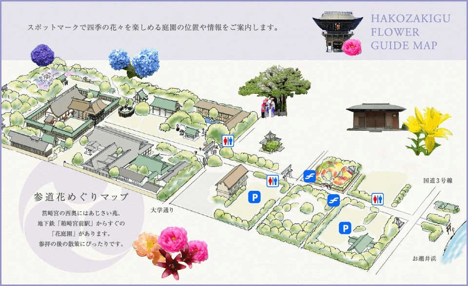 筥崎宮の神苑花庭園とは