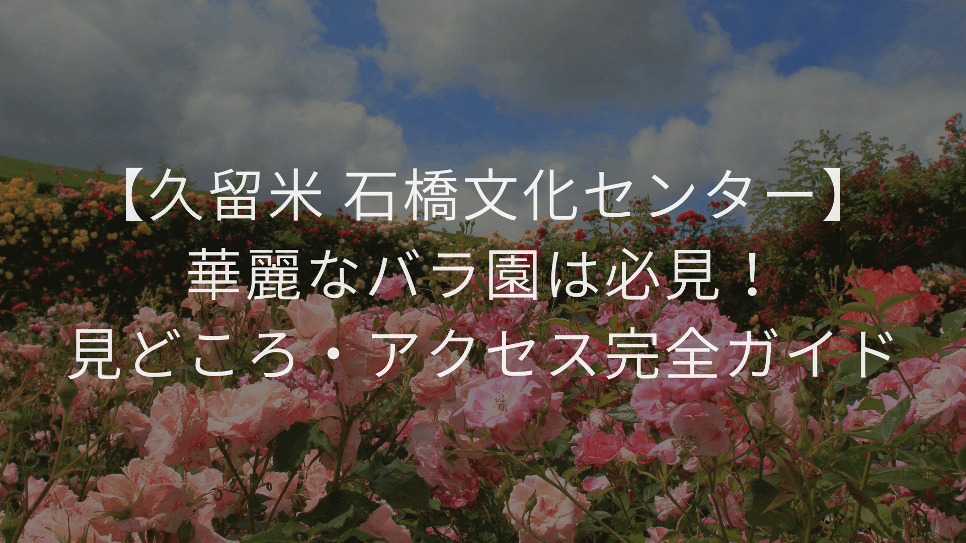 【久留米 石橋文化センター】華麗なバラ園は必見！見どころ・アクセス完全ガイド