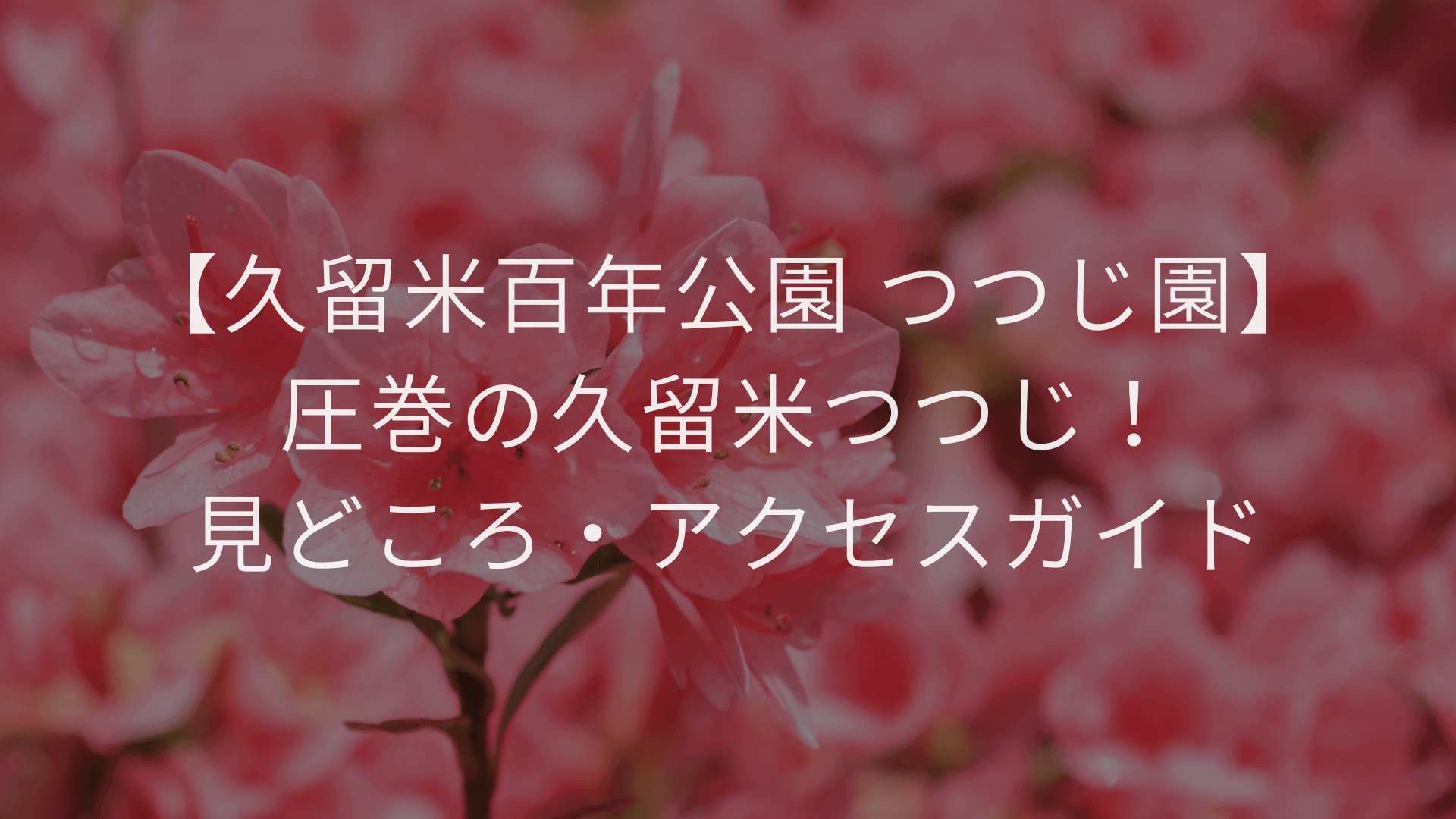 【久留米百年公園 つつじ園】圧巻の久留米つつじ！見どころ・アクセスガイド