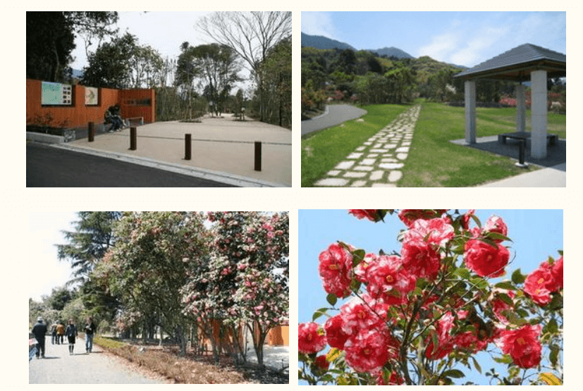 久留米つばき園とは